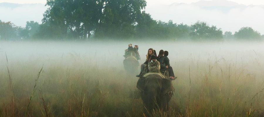 Corbett Elephant Safari