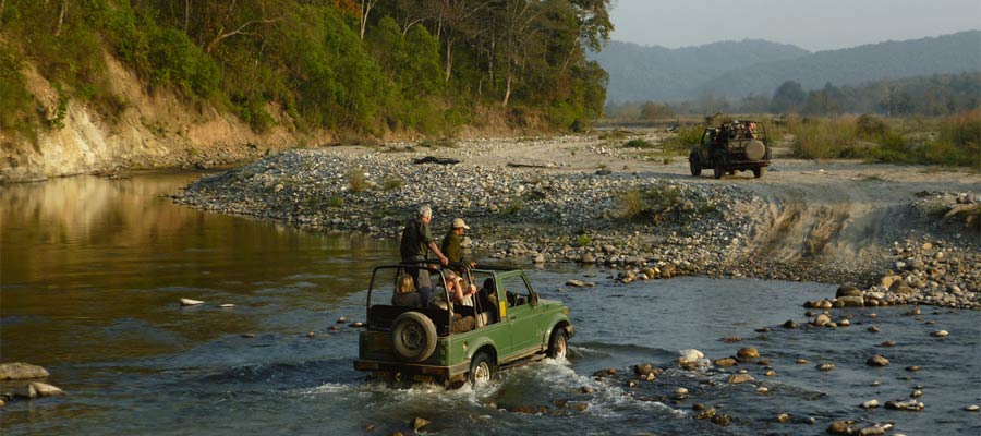 Corbett Jeep Safari